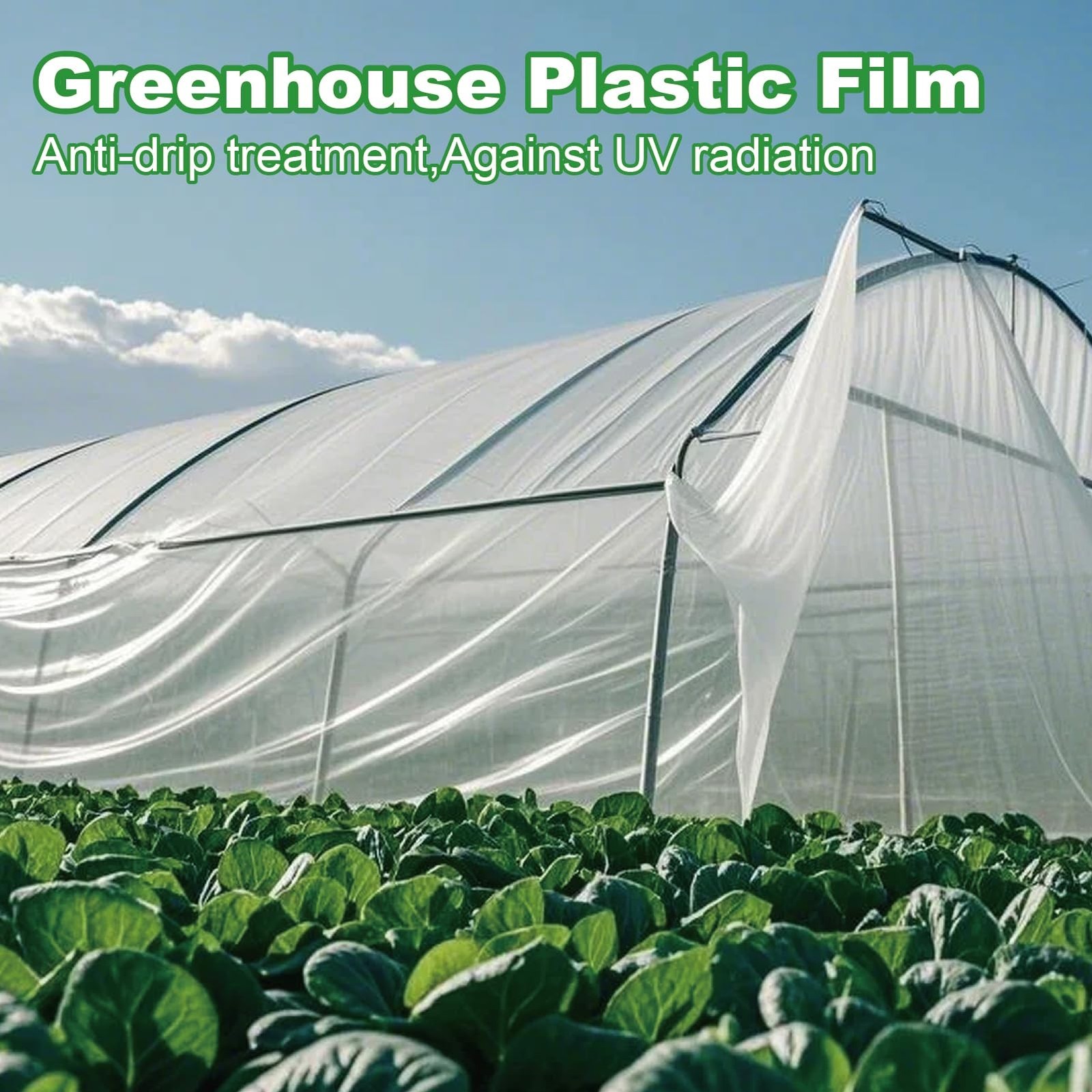 Greenhouse Plastic Sheeting 12 x 25ft – 6 Mil Clear Polyethylene Film, UV Res…