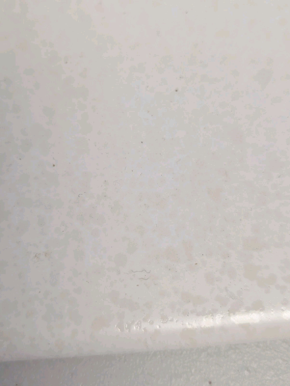 Ceramic Tile Cove Base Speckled Gloss White Monarch 6×4.25 Reclaimed