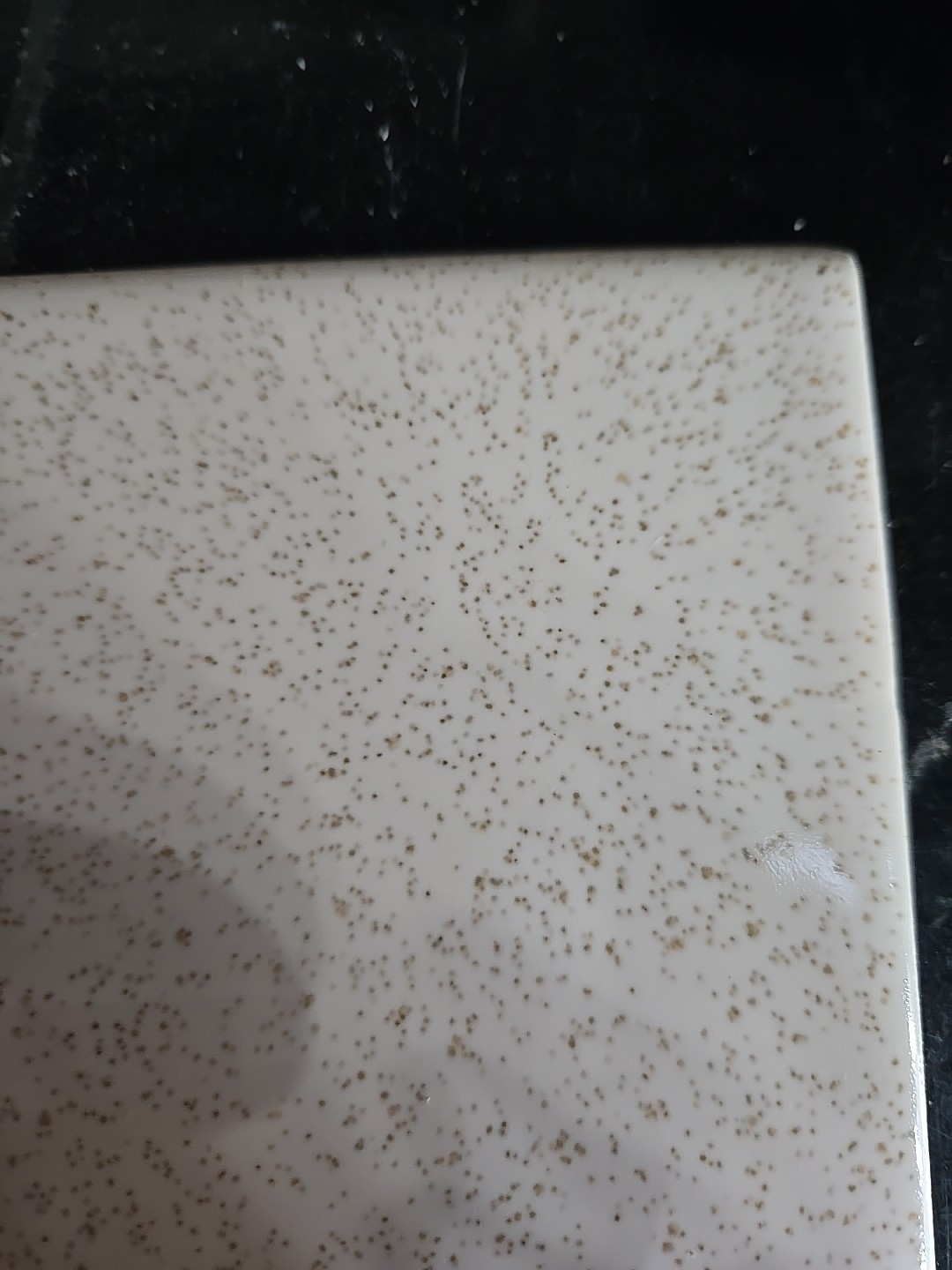Vintage Florida Tile Bullnose 4 3/8″ Buckwheat W/gold/silver Specks NOS Tile