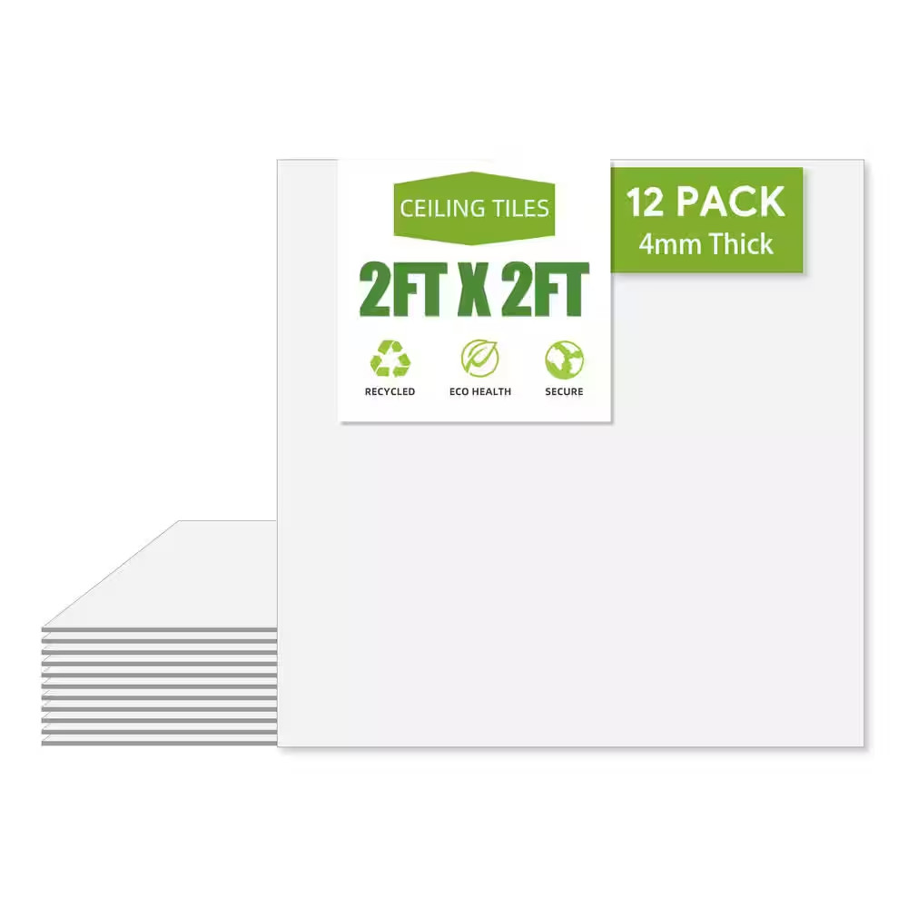 White 2 Ft. X 2 Ft. Decorative Smooth Ceiling Tile 48 (Sq. Ft. / Case) 12-Tiles