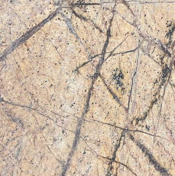 Tile Rainforest Natural Stone Backsplash About 4×4 SAMPLE PIECE TS-81