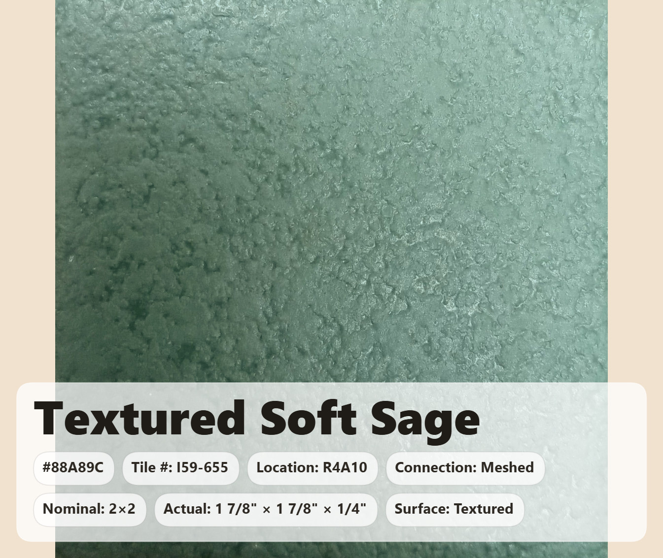 2×2 Tile Textured Soft Sage Green Meshed Wall Ceramic C#I59-655 Sample