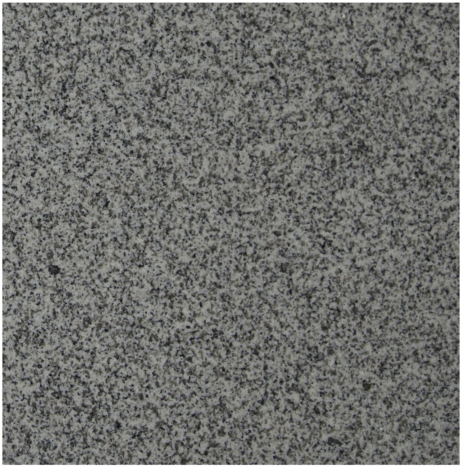 Ackland AKTGT12X12P-PL 12″ x 12″ Terrazzo Floor and Wall Tile – – Camara Snow