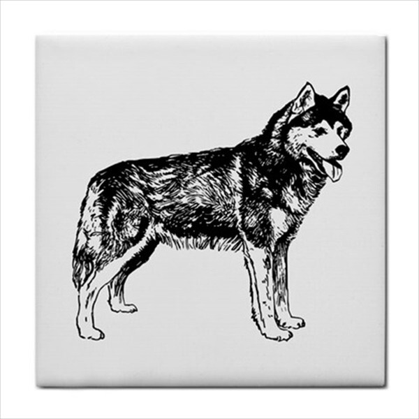 Dogs Ceramic Tile Set Of 16 Backsplash 4.25″ Tiles Home Decor Dog Breed Art