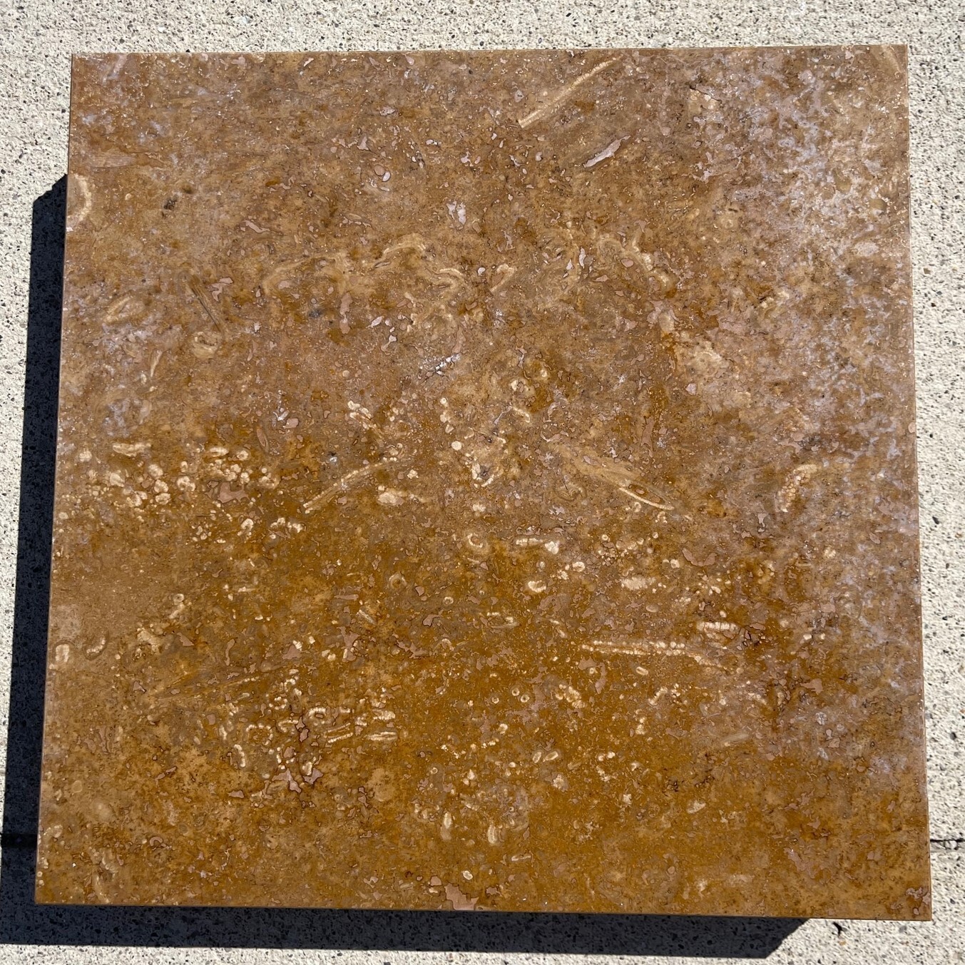 Chocolate Brown 12×12 Tile Marble Stone Floor Wall Remodel crate 200 SQ FT T-27B