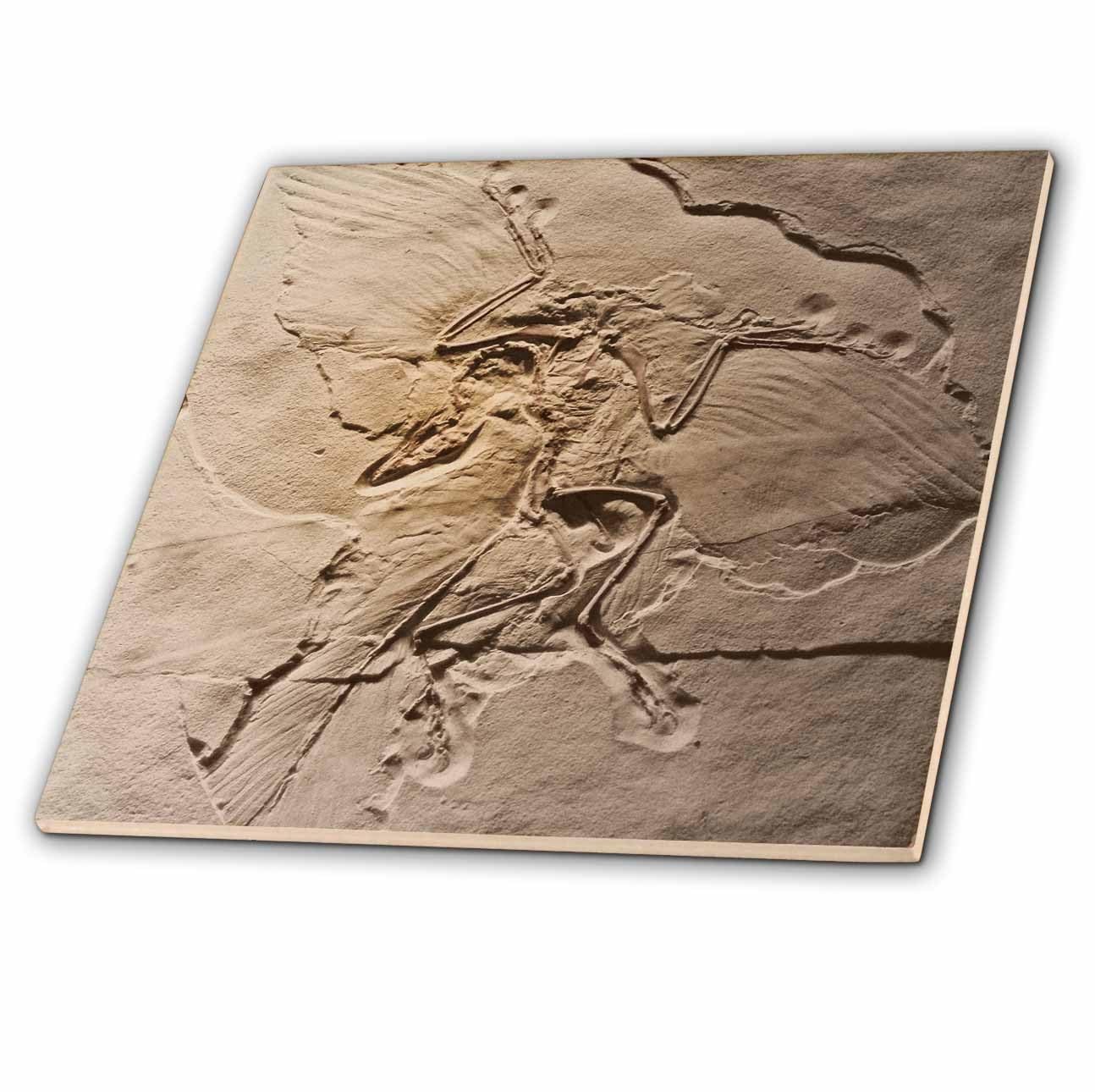 3dRose ct_16716_4 Archaeopteryx from The Jurassic Germany-Ceramic Tile, 12-Inch