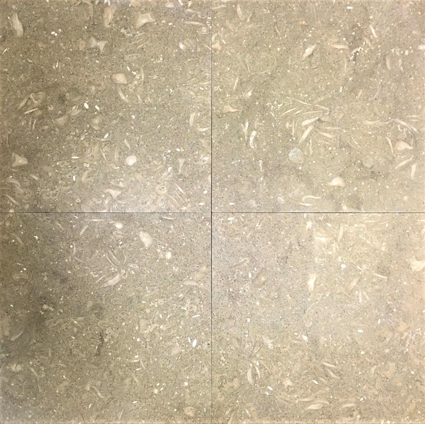 12×12 Seagrass Limestone Honed Straight Edge Backsplash Wall Tile Kitchen Bath