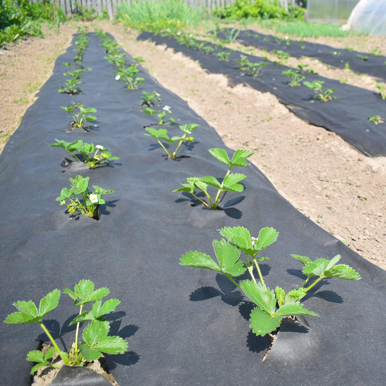 Nonwoven Geotextile Underlayment – 20 Ft. X 20 Ft. | 6 Oz Density, Use for Ponds