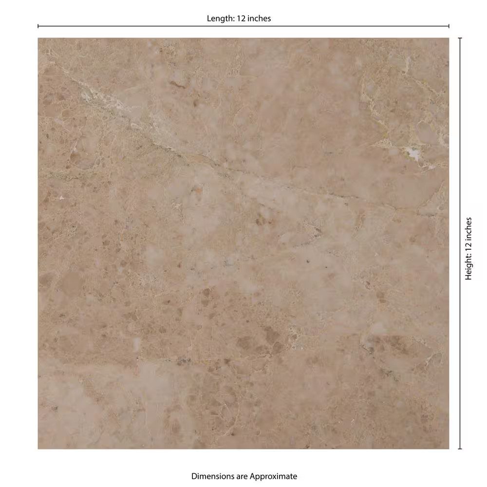 Crema Cappuccino 12 In. X 12 In. Polished Marble Floor and Wall Tile (10 Sq. Ft.
