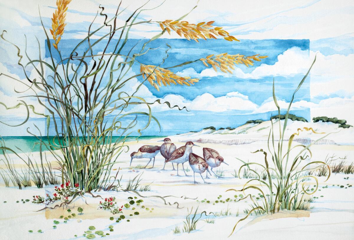 Ceramic Tile Mural Kitchen Backsplash – Sandpiper Dunes – by Paul Brent