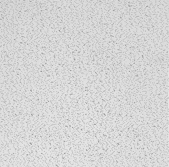 2×4 ft Acoustic Textured Lay-In Ceiling Tile White Square Edge Case of 8 64sqft