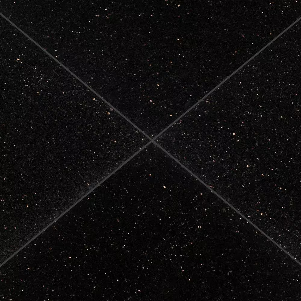 Black Galaxy 18 In. X 18 In. Polished Granite Floor and Wall Tile (9 Sq. Ft./Cas