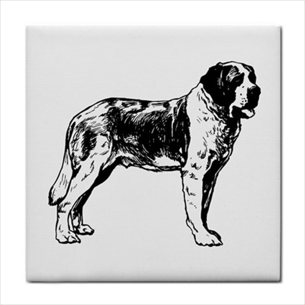 Dogs Ceramic Tile Set Of 16 Backsplash 4.25″ Tiles Home Decor Dog Breed Art