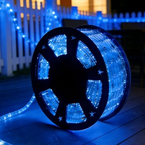 100Ft LED Rope Lights, 110V Outdoor Rope Lights Waterproof 100 ft Blue