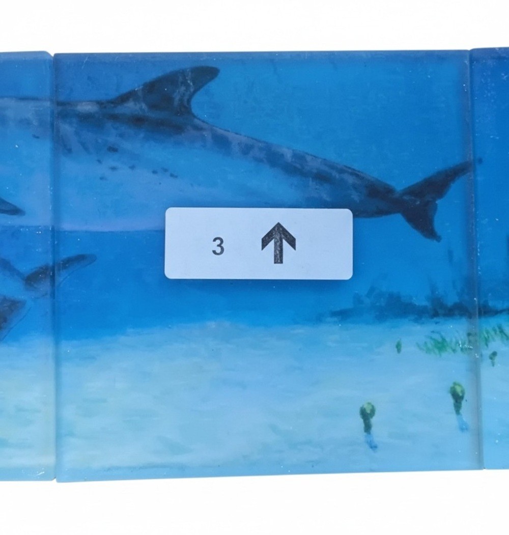 Reflective Expressions Waterline Pool Tile Porpoise Dolphin 6 x 24 Kevin R Brant