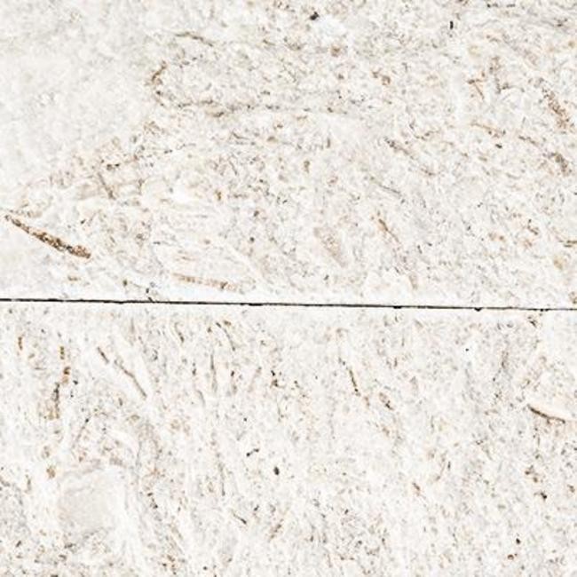 Ackland AKPLPL9X24F-PL 9″ x 24″ Limestone Hardscape Wall Tile – – Montara Ivoria