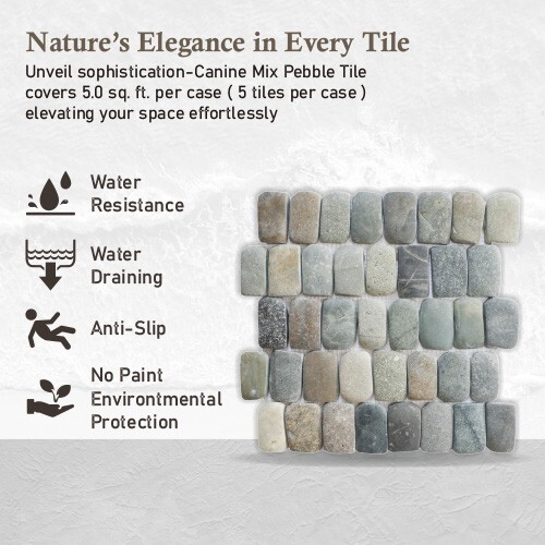 Canine Mix Natural Stone Mosaic Wall & Floor Tile ($17.01/SqFt)