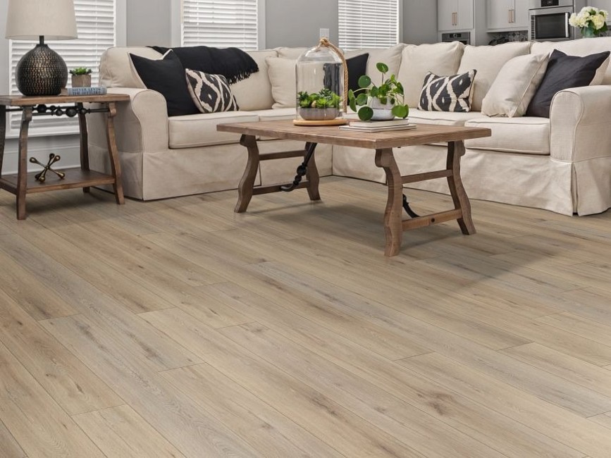 Shaw 0278V Paladin Plus 7″ x 48″ Embossed Vinyl Flooring – Silver Dollar