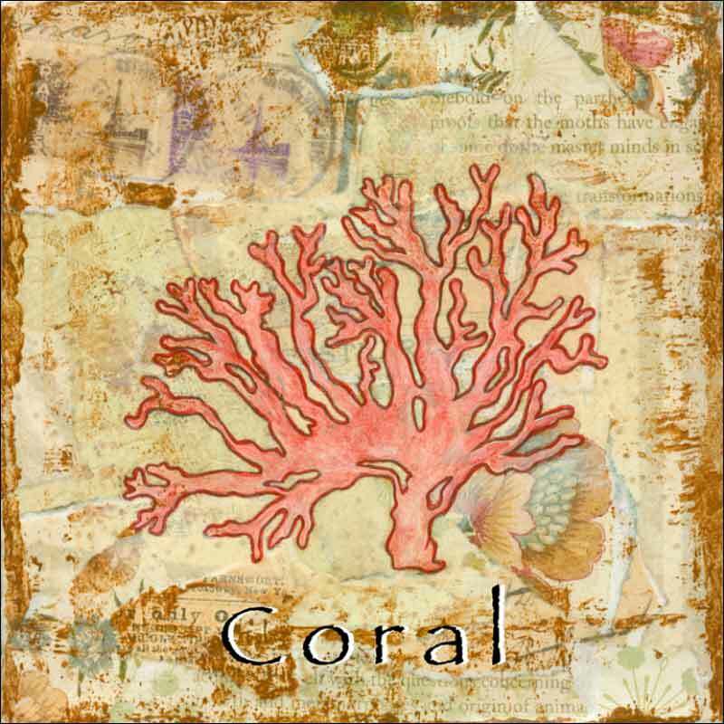Coral Accent & Decor Tile Bridget McKenna Shell Art CCI-BRI252AT