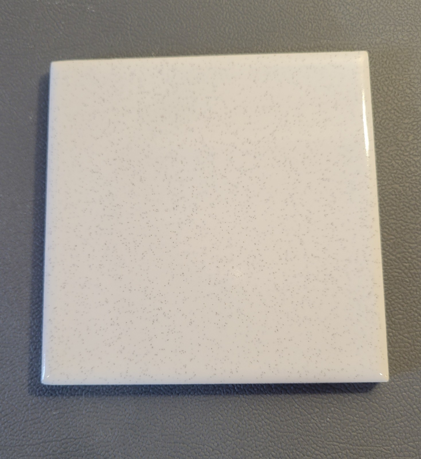 1 Tile FT Florida USA 4-3/8″ Gloss Black White Speckled Tile Salt & Pepper