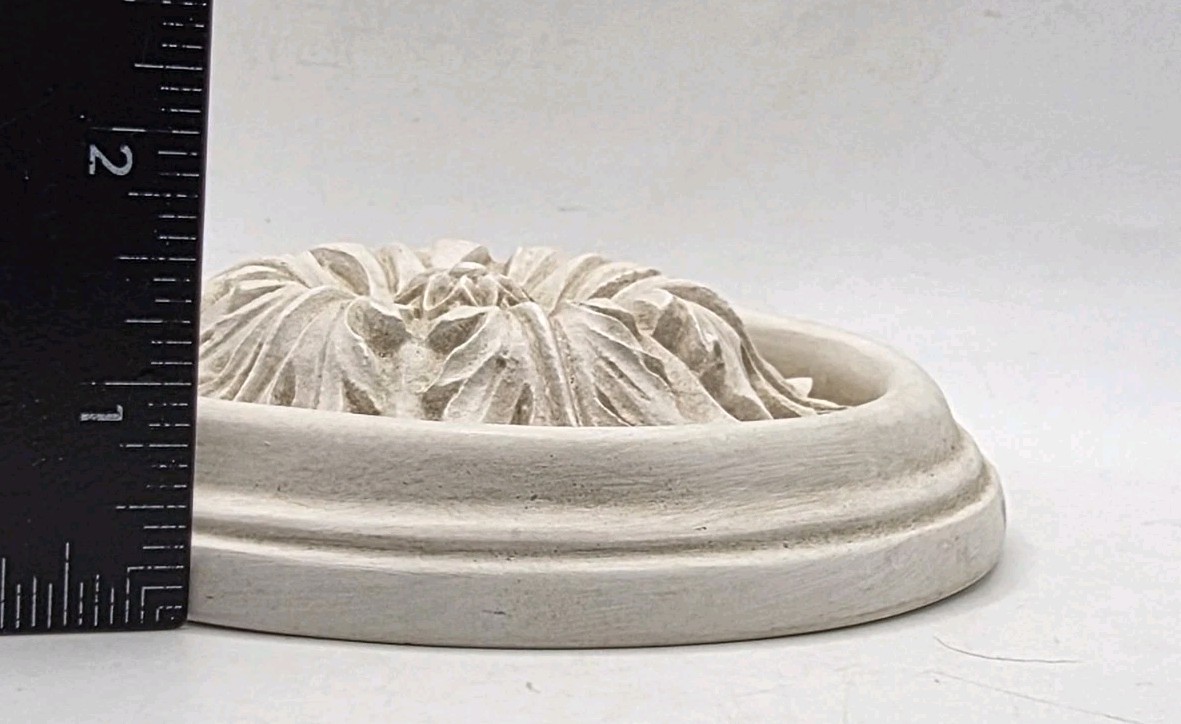 Plaster Rosette Modern Renaissance Raised Rellief 5-3/4″D Wall Hang