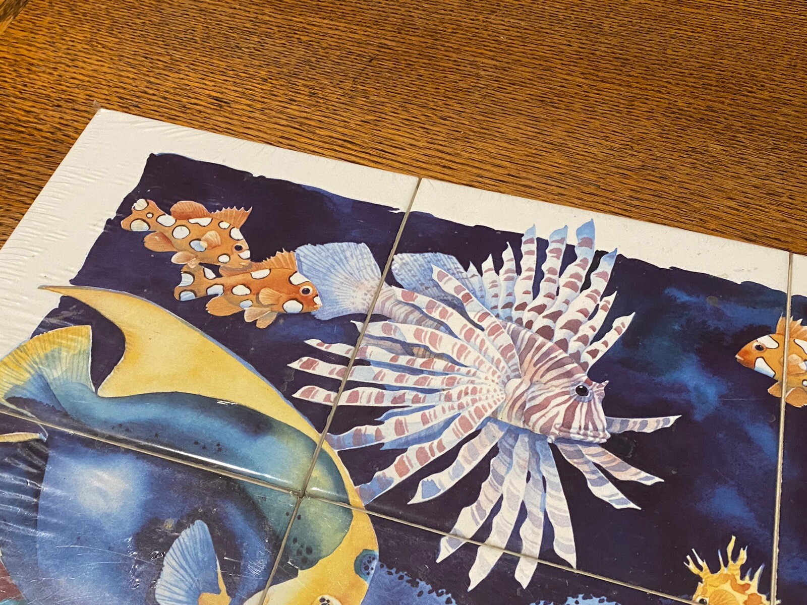 Ocean Sea Coral Reef Fish Scene Ceramic Tile Mural New Sealed Paul Brent 6” Tile