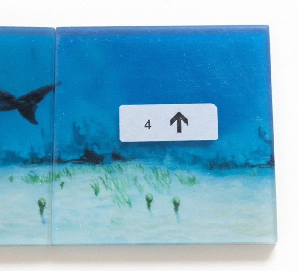 Reflective Expressions Waterline Pool Tile Porpoise Dolphin 6 x 24 Kevin R Brant