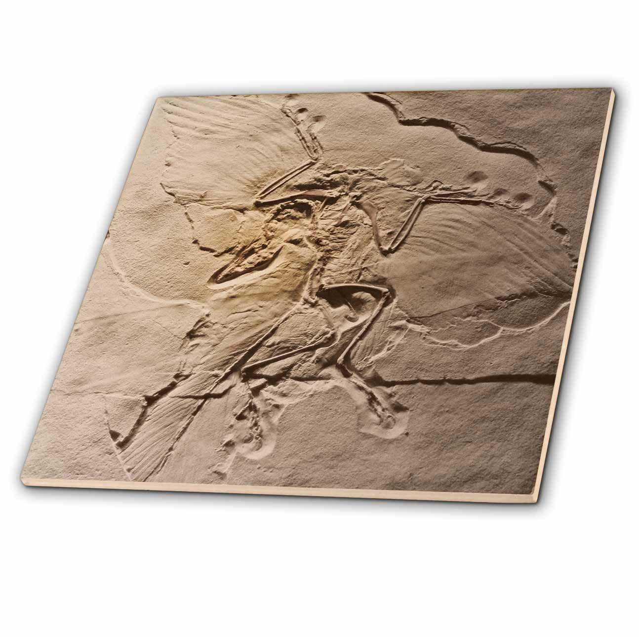 3dRose ct_16716_4 Archaeopteryx from The Jurassic Germany-Ceramic Tile, 12-Inch