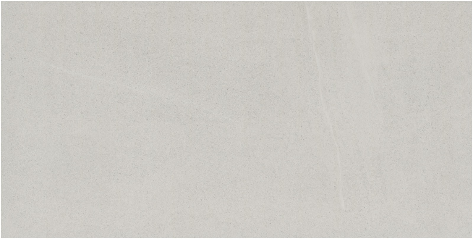 Ackland AKNPTMIL24X48M-PL Milena – 24″ x 48″ Porcelain Solid – Silver