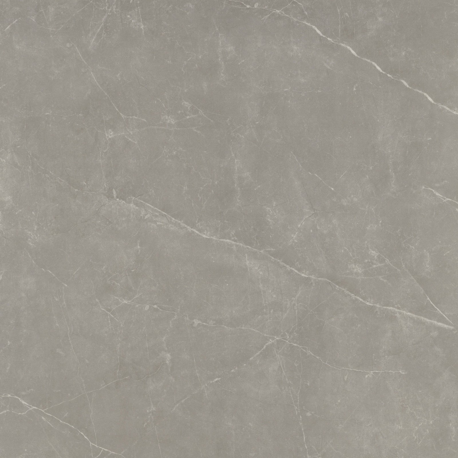 Emser Tile F20STER2424M Sterlina II – 24″ x 24″ Square Floor and – Dove