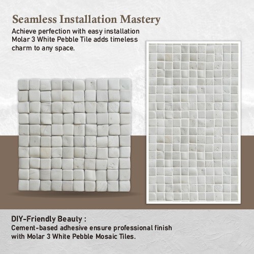 Molar 3 White Natural Stone Mosaic Wall & Floor Tile ($16.34/SqFt)