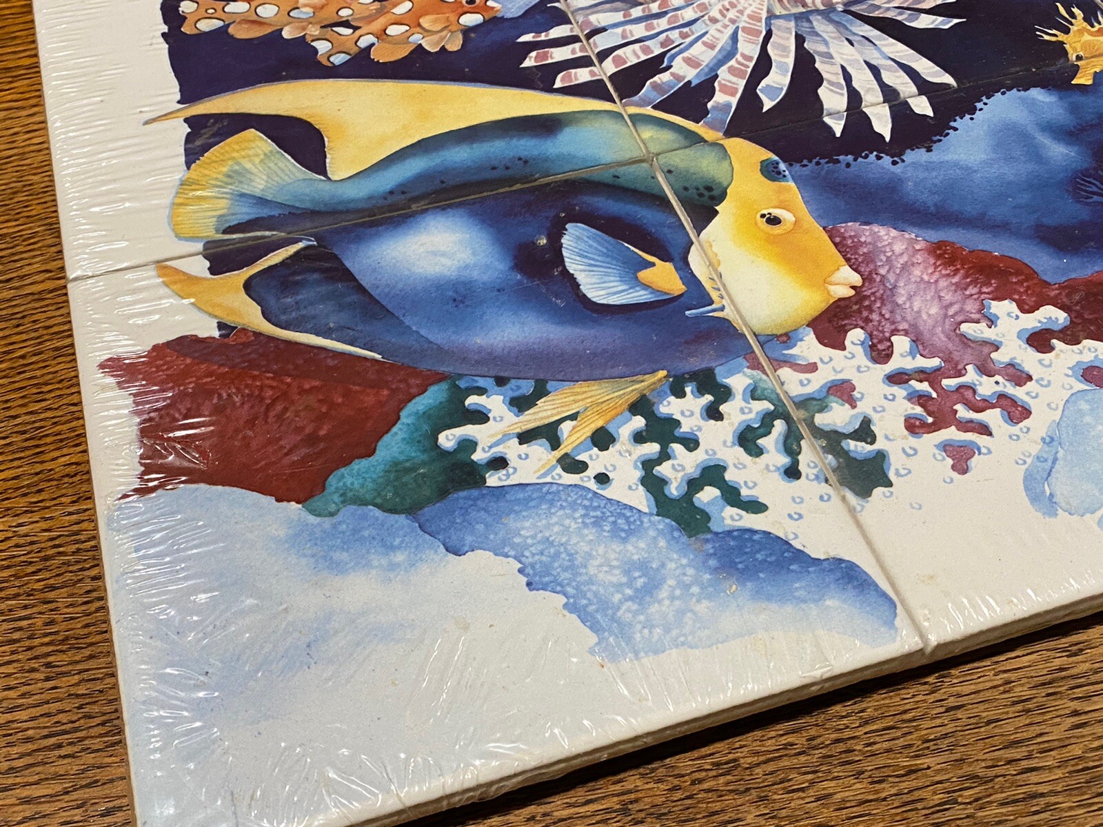 Ocean Sea Coral Reef Fish Scene Ceramic Tile Mural New Sealed Paul Brent 6” Tile