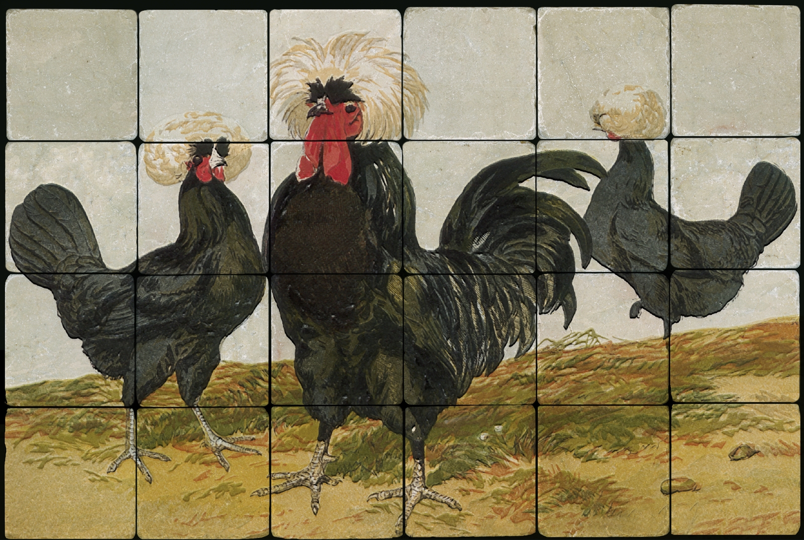 24×16 WhiteCrested Blakc Chickens Kitchen Backsplash Mural Tumbled Marble Tiles