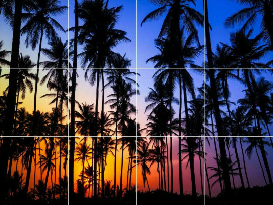 tropical sunrise sunset palm trees beach seascape ceramic tile mural backsplash