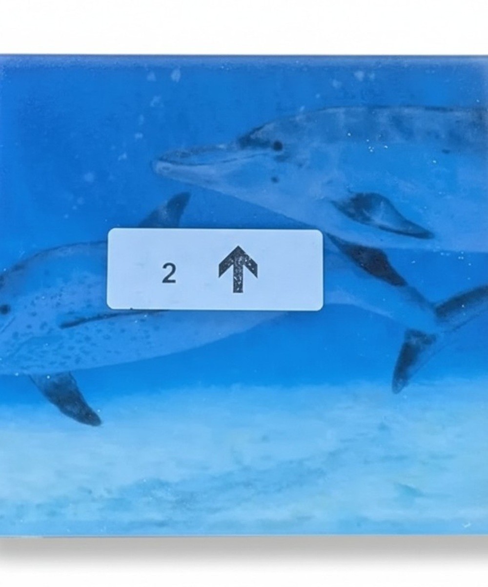 Reflective Expressions Waterline Pool Tile Porpoise Dolphin 6 x 24 Kevin R Brant