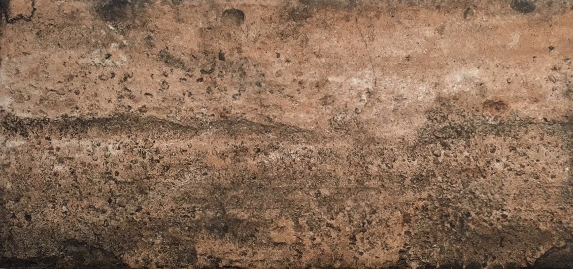 Rustic Walnut Brick Look 4×8 Porcelain Tile Wall Floor Kitchen (ONE PIECE)