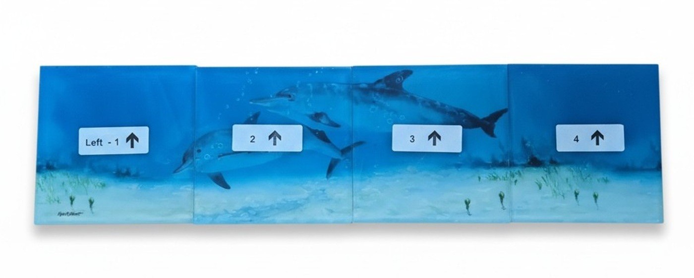 Reflective Expressions Waterline Pool Tile Porpoise Dolphin 6 x 24 Kevin R Brant