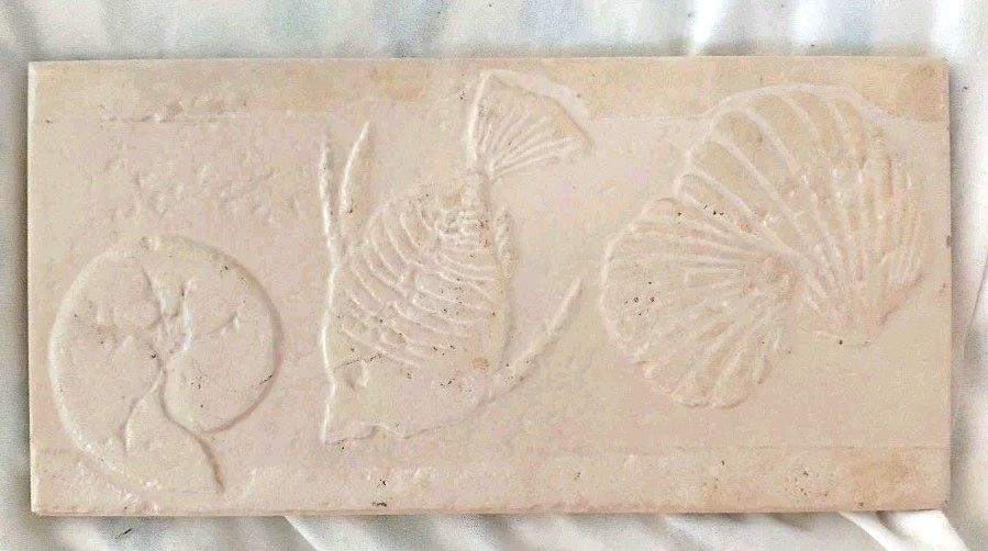 Nautical Sealife Fossil Style Art Tile Textured Backsplash Off White 12″ X 5”