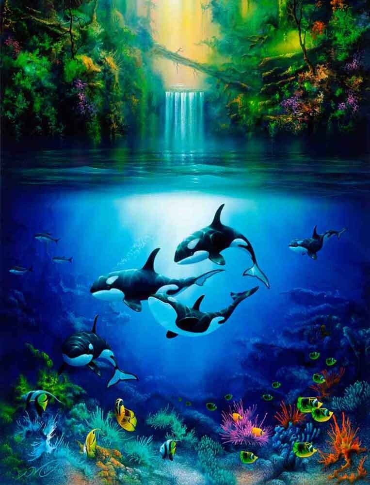 Orca Whale Undersea Accent & Decor Tile David Miller Sea Life Art DMA2017AT