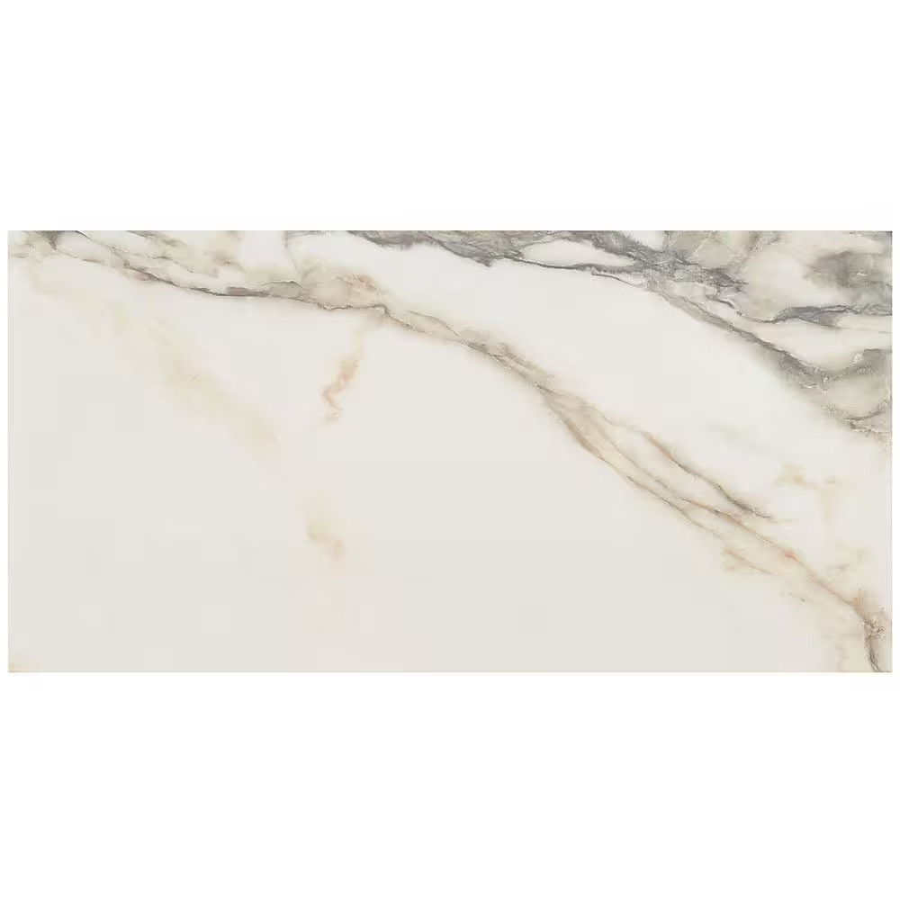 Saroshi Calacatta Rustico 11.81 In. X 23.62 In. Polished Marble Look Porcelain F