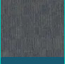 Shaw 54957 Knock Out 24″ x 24″ Glue Down Commercial Carpet Tile – – Success