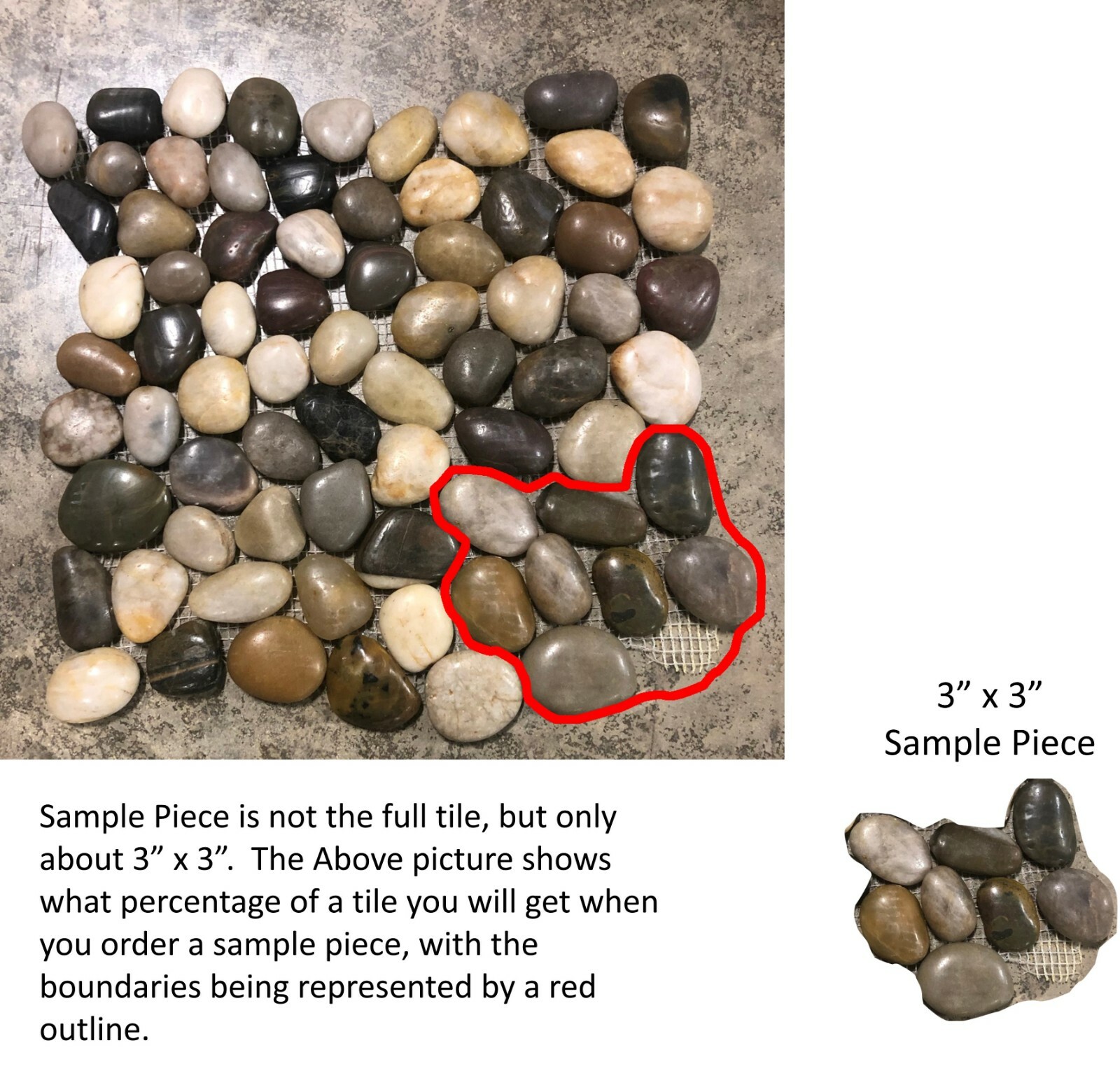 12×12 Tile Mixed Colors Pebble Shower Remodel Stone About 3×3 SAMPLE PIECE TS-14