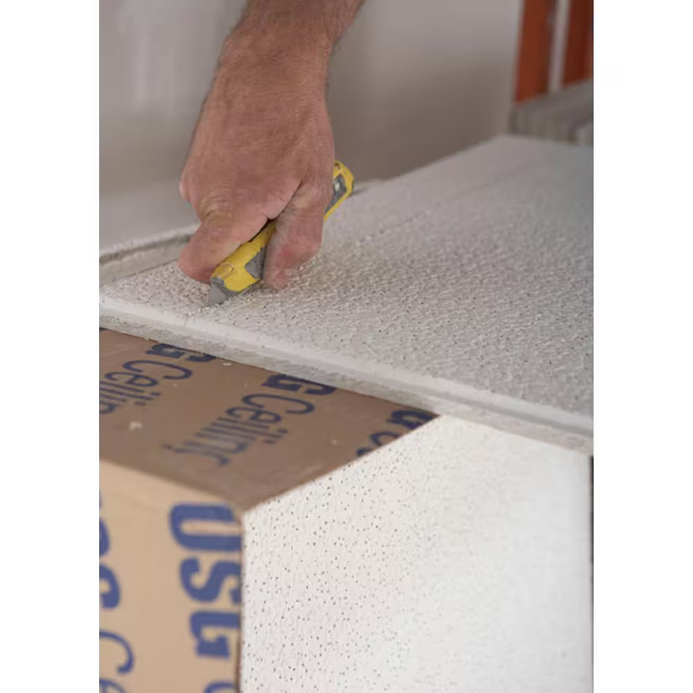 2 Ft. X 4 Ft. Mars White Square Edge Lay-In Ceiling Tile, Case of 6 (48 Sq. Ft.)