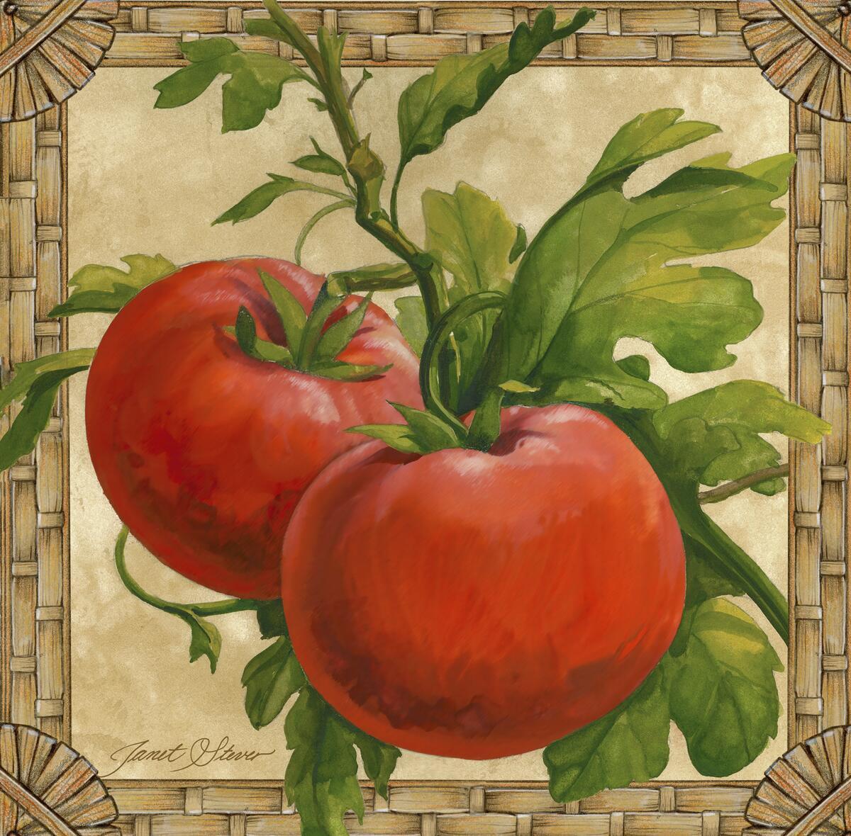 Ceramic Backsplash Tile Mural Fruit Kitchen/Bathroom – Tomatoes – Janet Stever