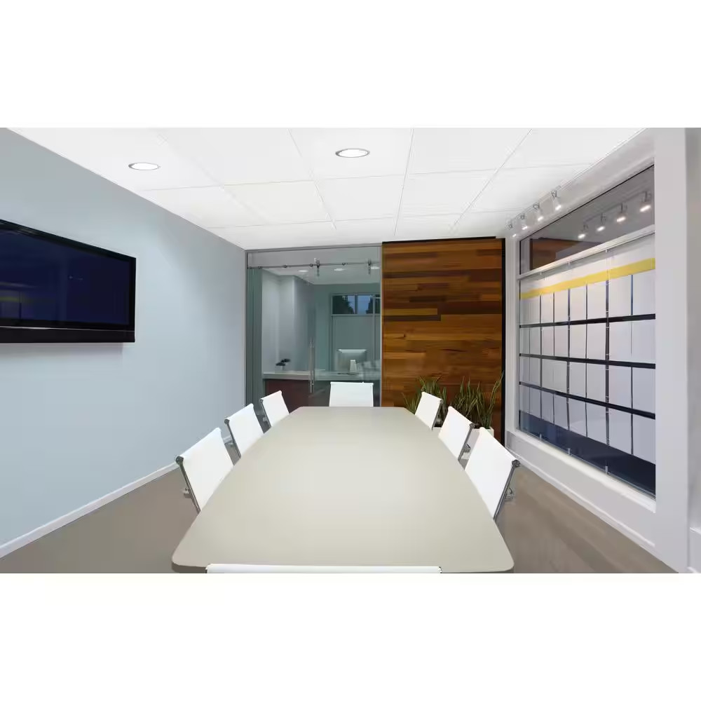 Fine Fissured 2 Ft. X 4 Ft. Lay-In Ceiling Tile (32 Sq. Ft. / Case)