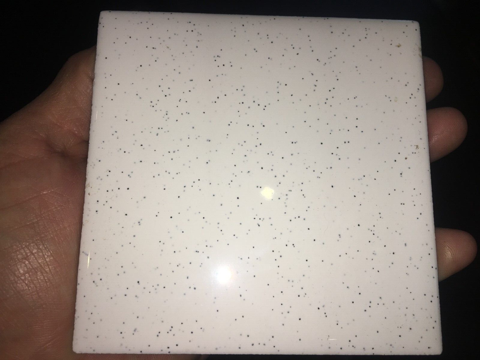 American Olean / Dal Tile 4 1/4″ Ceramic Tile White w/ Black Speckled Speckles
