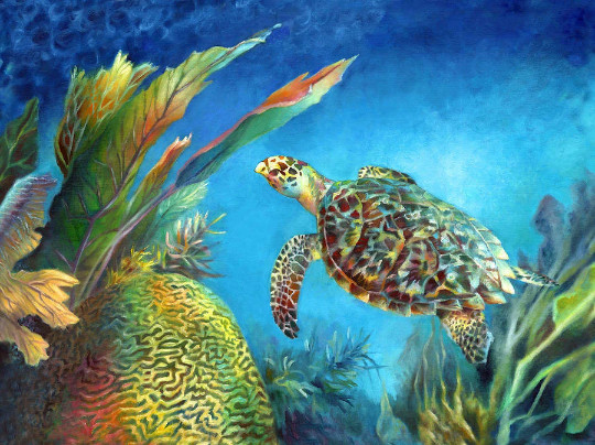 hawksbill sea turtle seascape tropical fish reef ceramic tile mural backsplash