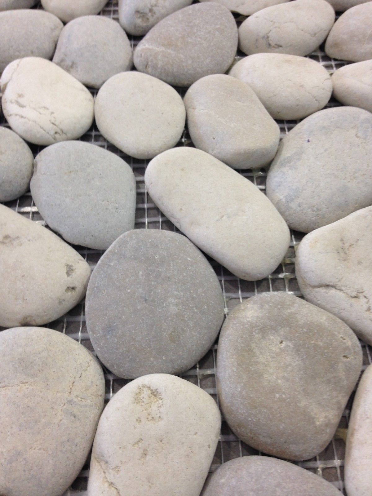Harmony Pebble Warm Blend Natural Round Tile 12″x12″ RiverRock Stone Floor Wall