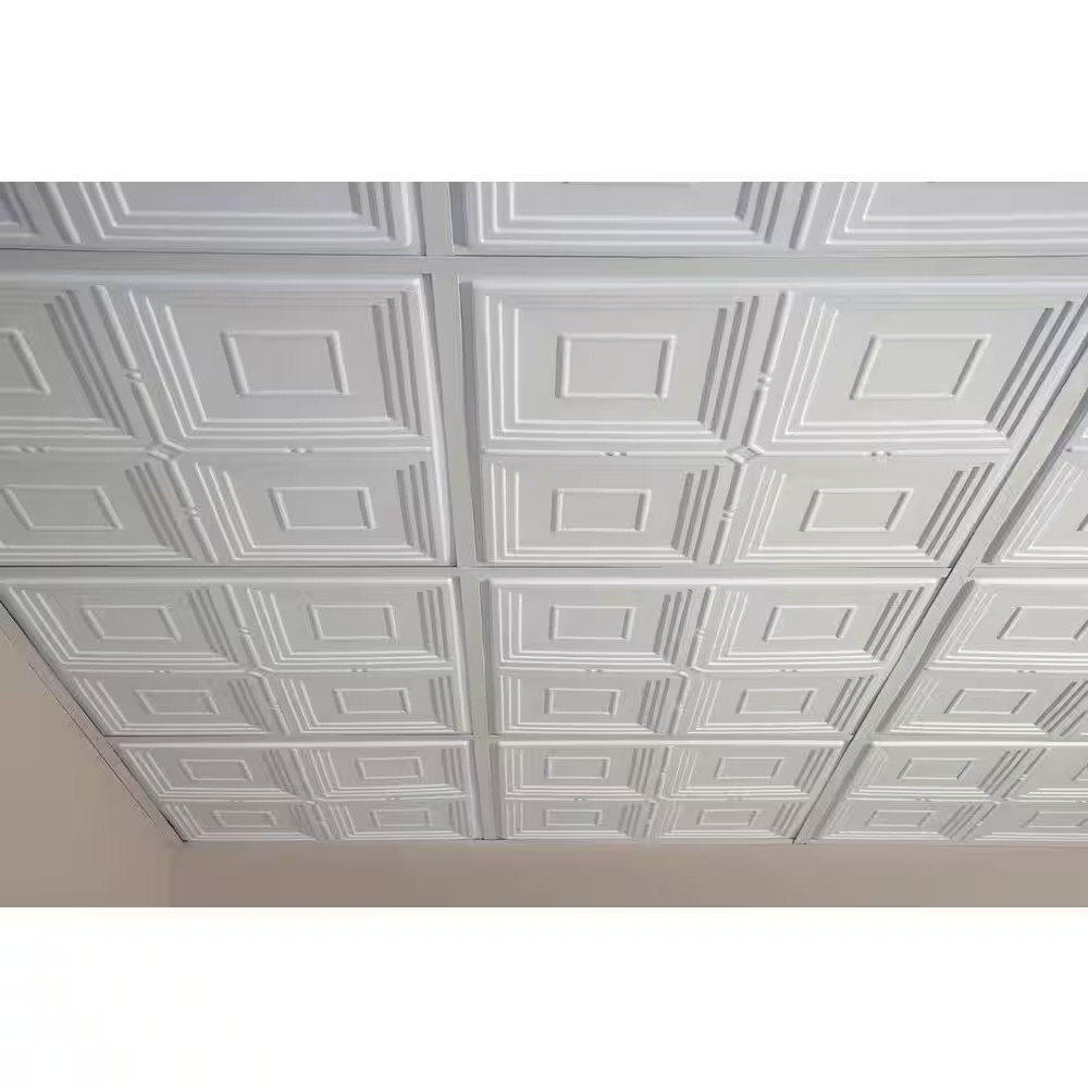 Jackson White 2 Ft. X 2 Ft. Lay-In or Glue-Up Ceiling Panel (Case of 6)