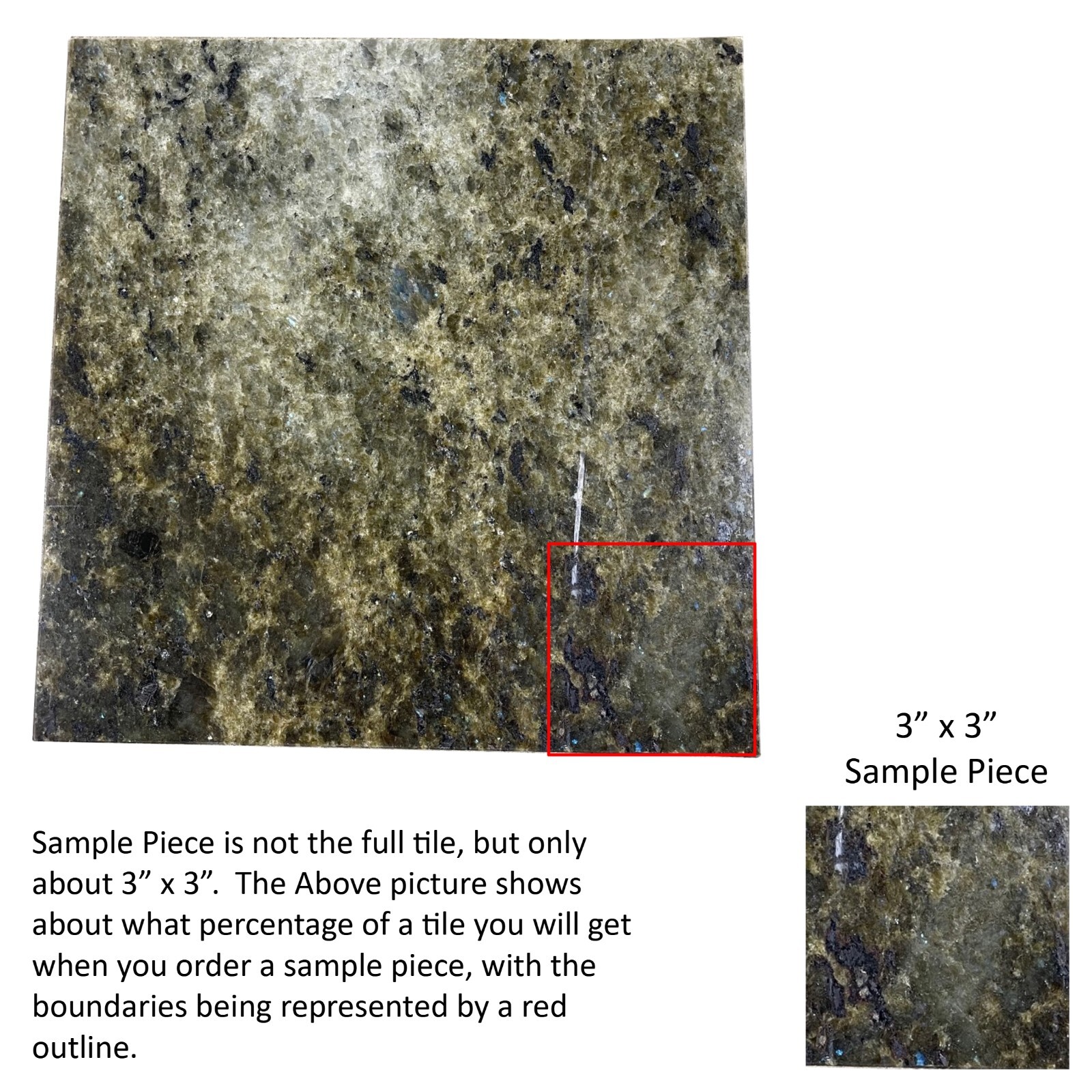 3×3 Sample Piece Green Sea Coral Granite Remodel Stone 12×12 Tile TS-99